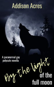 Book Cover: By The Light Of The Full Moon