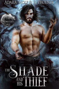 Book Cover: The Shade and His Thief